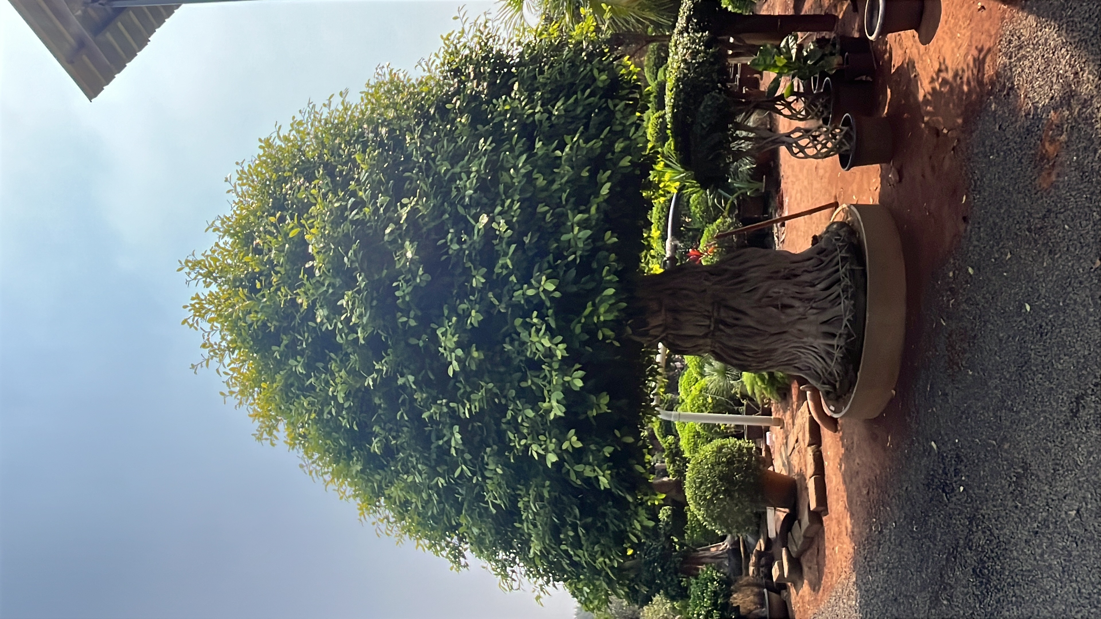 Vijayadurga Grand Tree